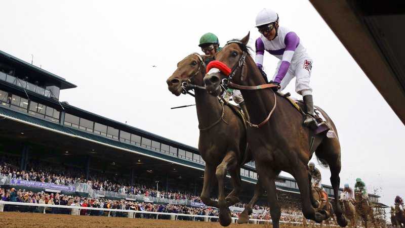 Nyquist, front right, with Mario Gutierrez up, finishes ahead of Swipe, left, with Victor Espinoza up, to win the Breeders' Cup Juvenile horse race at Keeneland race track in Lexington, Ky. The Breeders' Cup in November will be held without spectators, joining the Triple Crown races in having only essential personnel and participants on hand because of the coronavirus pandemic. The world championships are set for Nov. 6-7, 2020, at Keeneland.
