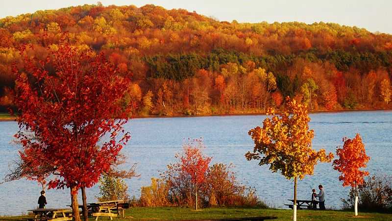 The best places to see fall foliage in Western Pennsylvania