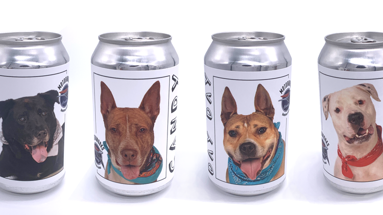 Florida brewery puts shelter dogs on beer cans to find them forever homes