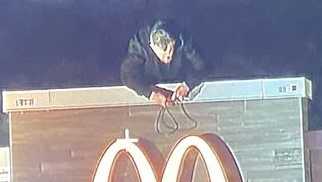 Six-hour standoff on McDonald's roof ends with an arrest - Vimarsana News