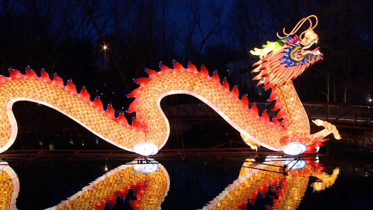 Everything you need to know about Louisville Zoo's dazzling lantern