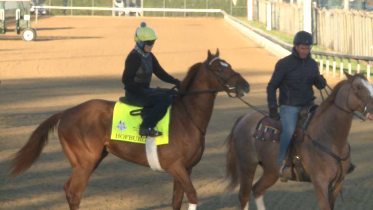PHOTOS Horses of Kentucky Derby 144