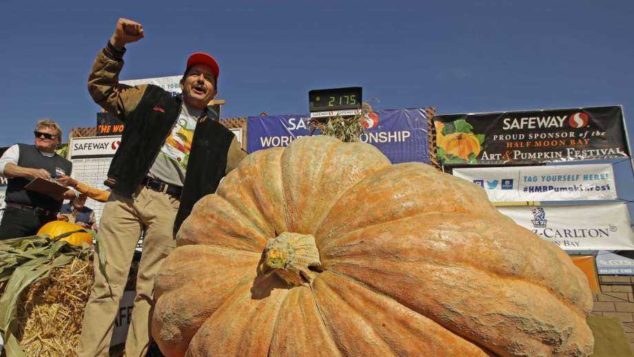 Giant pumpkin weighing nearly 1 ton sets California record