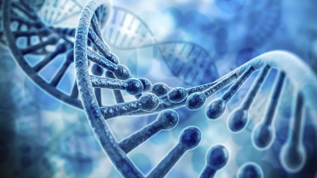 Should scientists be allowed to alter DNA before birth to eliminate