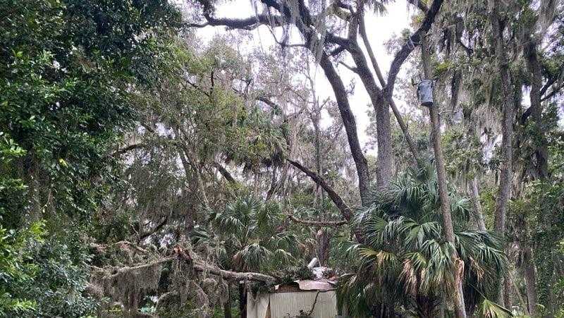 Tree falls on home in Lake Panasoffkee as bands from Hurricane Helene ...