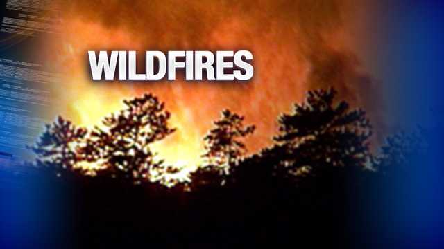 Firefighters battling wildfires in Talladega National Forest - Vimarsana News