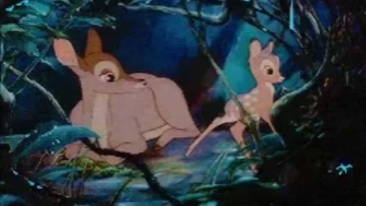 Missouri Poacher Ordered To Repeatedly Watch ‘bambi 8565