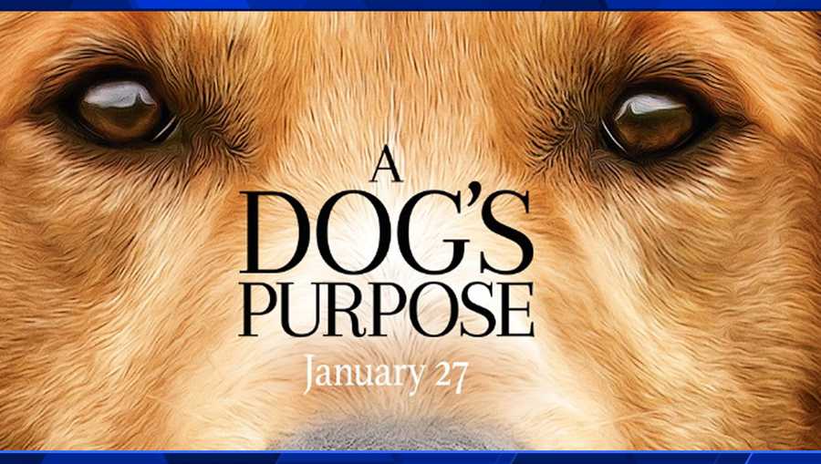 A Dog's Purpose' premiere canceled amid dog treatment questions A Dog's Purpose' premiere canceled amid dog treatment questions