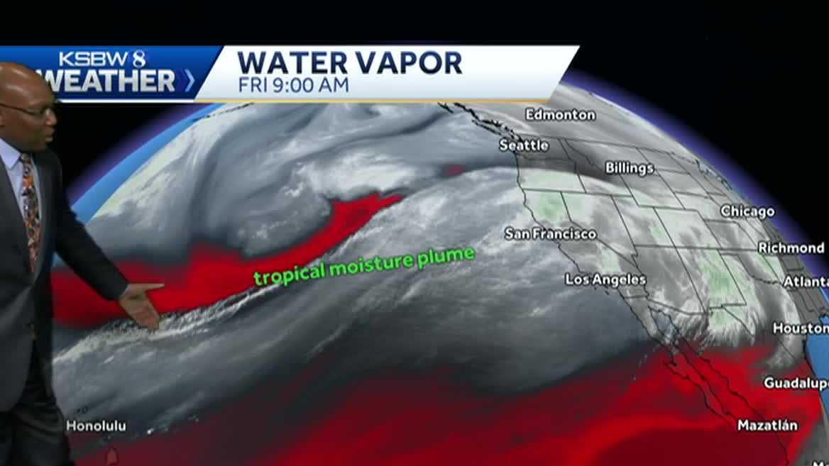 Heavy rain forecast for Central Coast