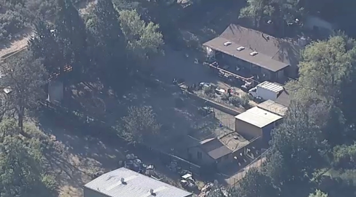 700 animals seized in California in what may be largest animal rescue case in US