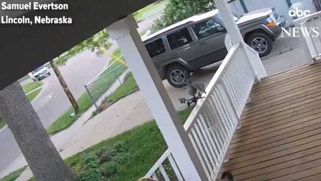 Woman caught on camera trying to steal cat