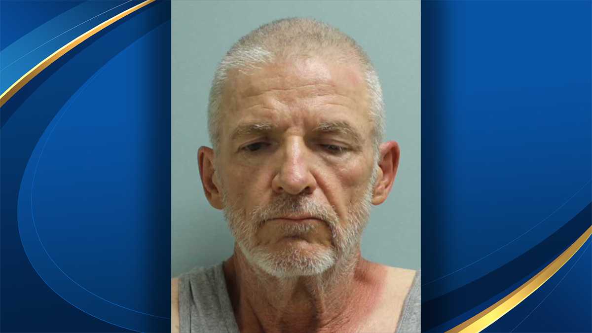 Man arrested for manslaughter in connection to brother's death in Cape Coral - Vimarsana News