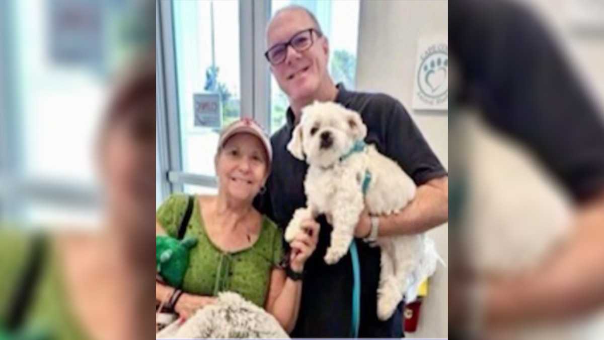 Senior dog gets adopted from the Cape Coral Animal Shelter