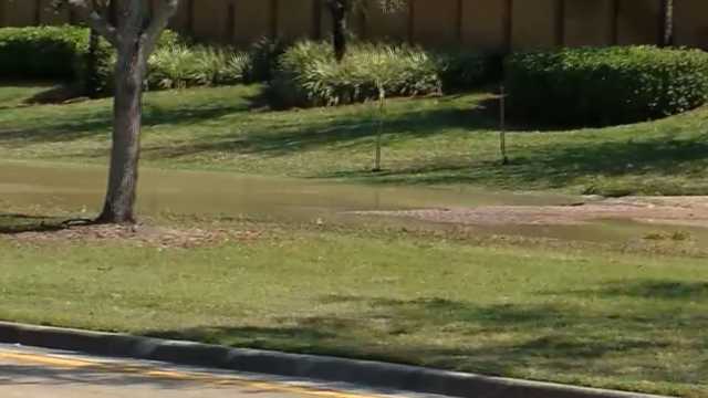 Fort Myers' largest water line breaks near Treeline Elementary School - Vimarsana News