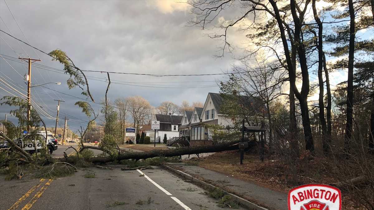 Strong winds bring down trees, crush vehicles, take out power lines