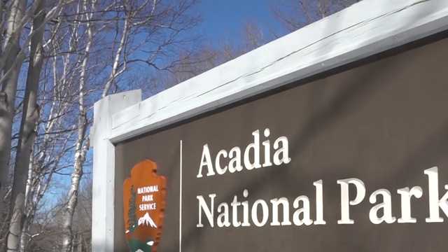 17-year-old boy falls to death while hiking at Acadia - Vimarsana News