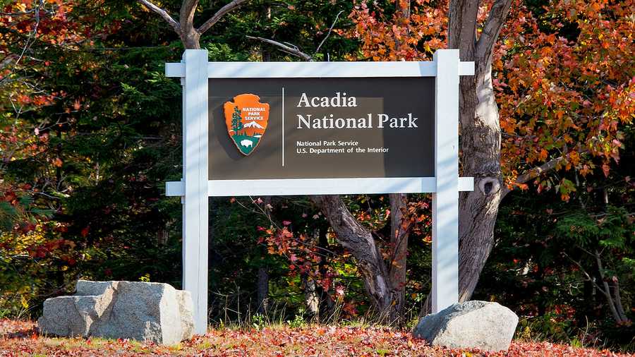 Bicycle accident at Acadia Park leaves man critically injured - WMTW