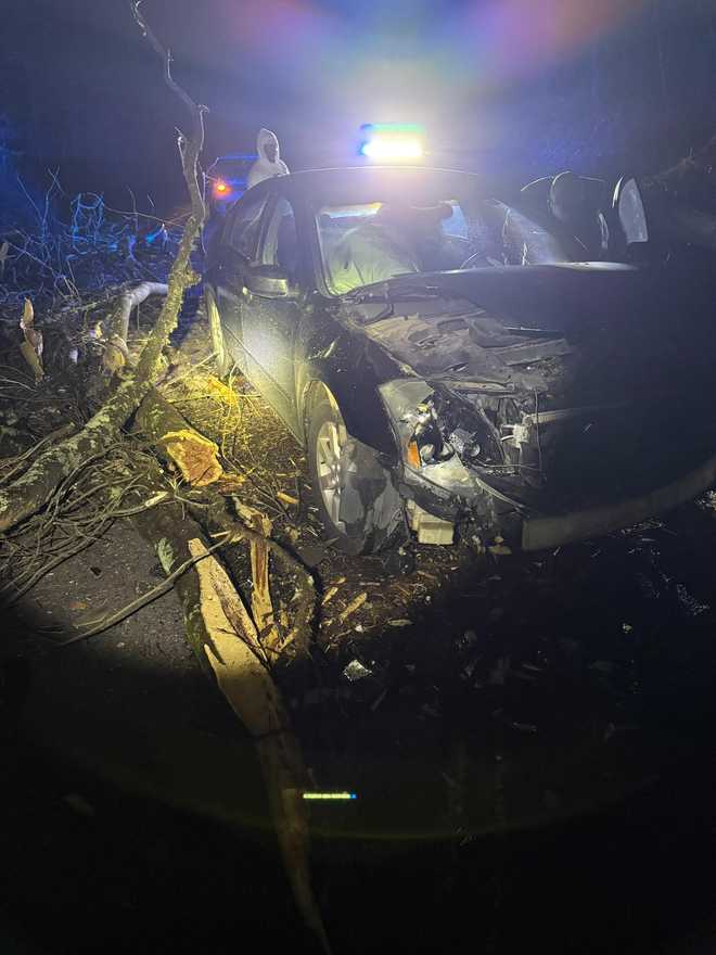Car crashes into tree on Belvedere Drive after overnight storms