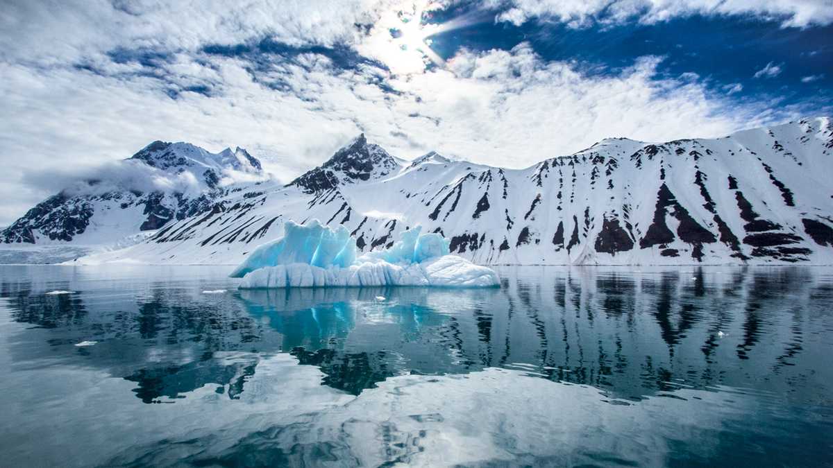 Central Coast Spotlight: Antarctica Adventure