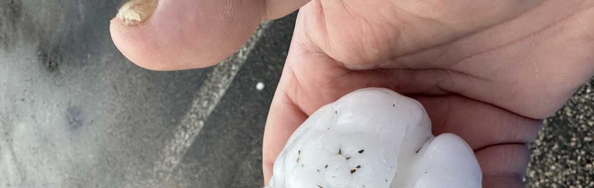 Gallery: Viewers share pictures of large hail that hit Ada during March ...