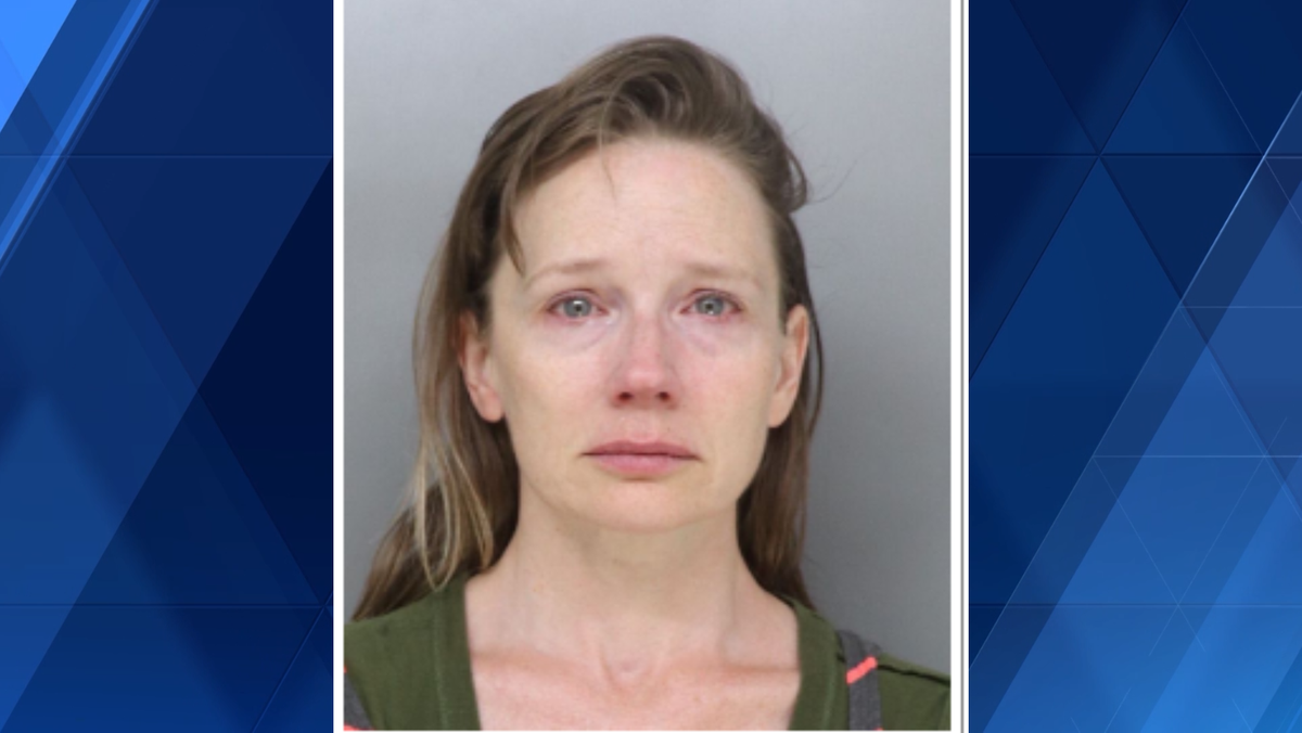 Woman indicted on charges in connection with attempted child abduction