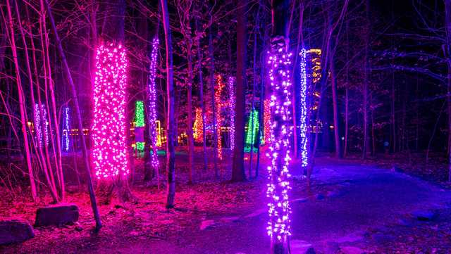 NY & VT science centers light up for the holidays - Vimarsana News