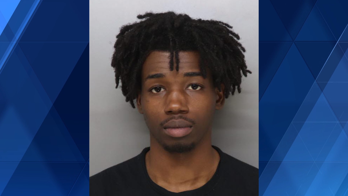 Court docs: Man charged with assault after striking officer with car ...