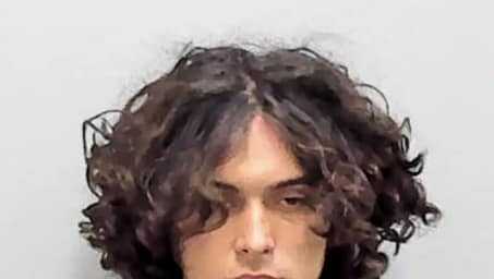 Florida teens charged in string of car burglaries - Vimarsana News
