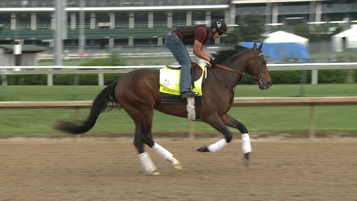 PHOTOS Horses of Kentucky Derby 144