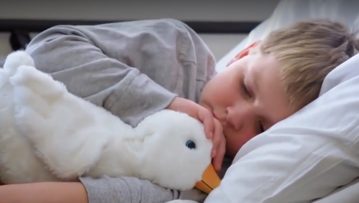 'Just like them' Company designs interactive stuffed animals with
