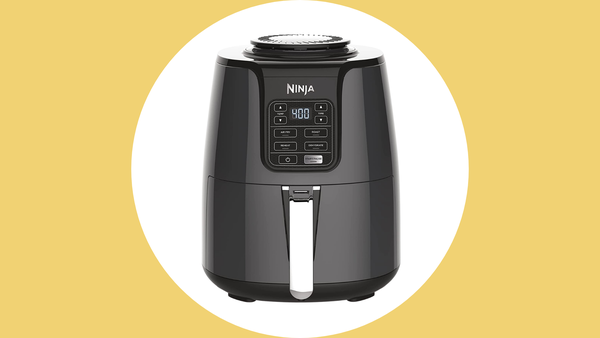 air fryer ninja af101 black friday