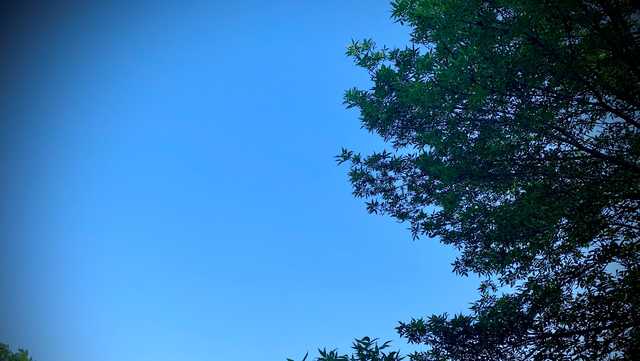 Maine DEP issues are quality alert for Sunday - Vimarsana News