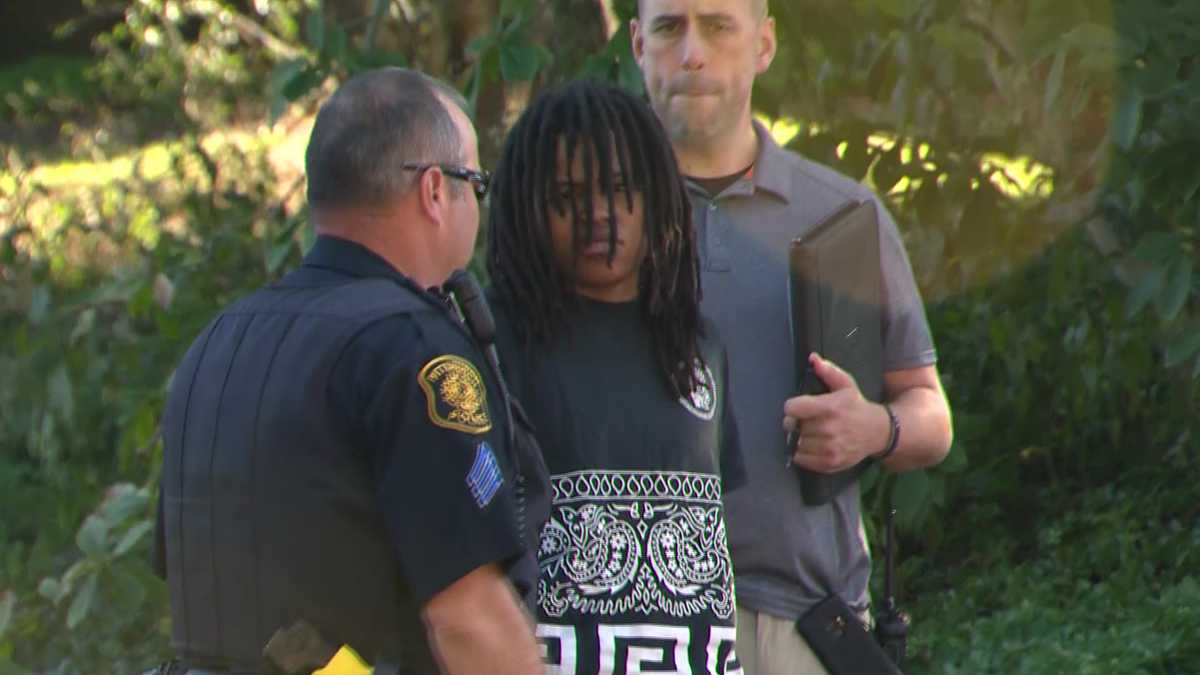 Authorities Carjacker crashes in Penn Hills after trying to steal cars