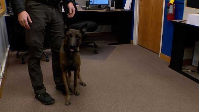 Ashland police deploy K-9 donated by Throw Away Dogs project - Vimarsana News