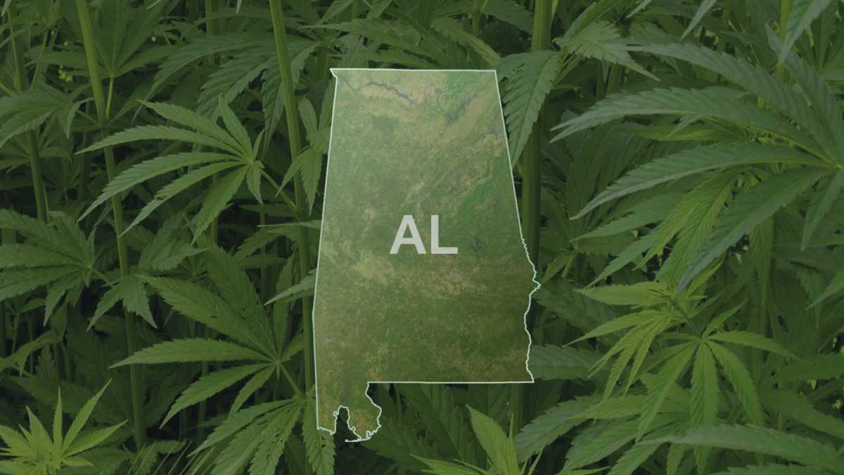 Medical marijuana bill clears Alabama Senate committee