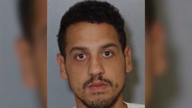Florida man accused of stabbing, shooting father charged - Vimarsana News