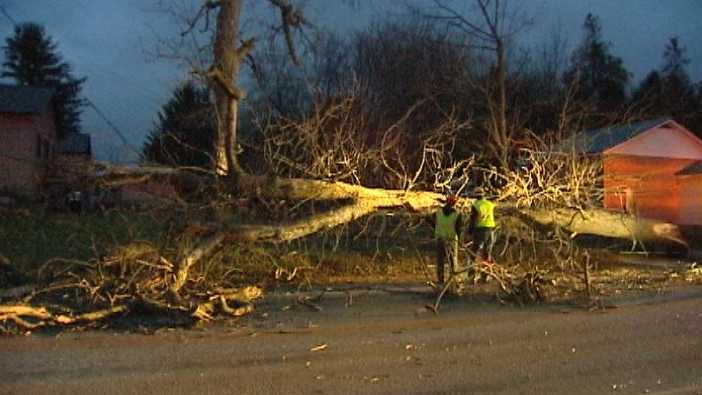 High Winds Downed Trees Knock Out Power To Alburgh Residents