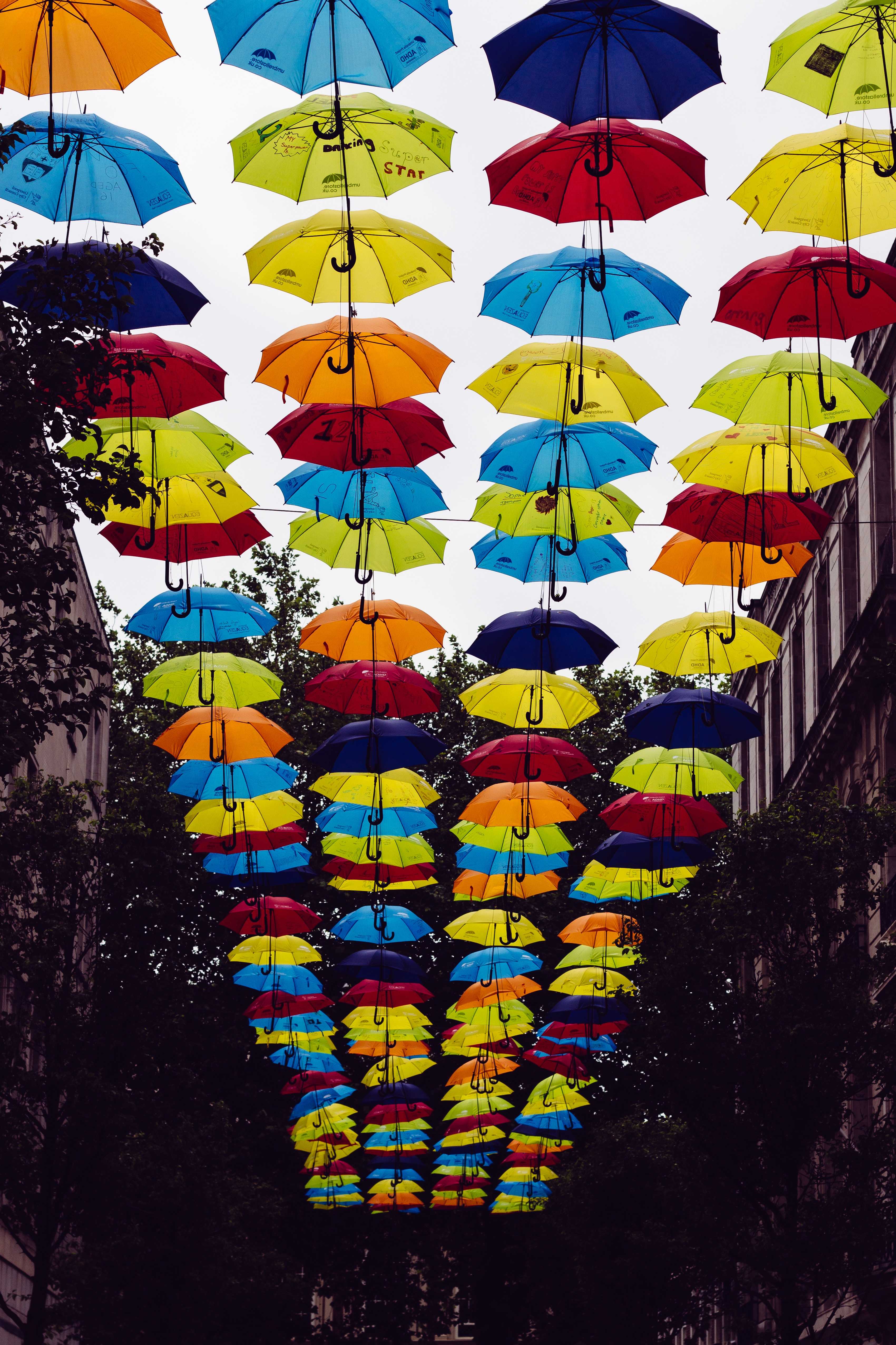 13 of the best umbrellas to keep you dry