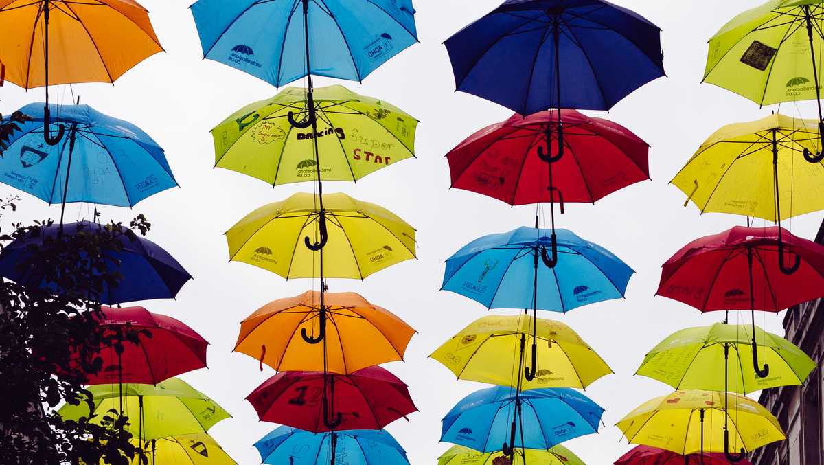 13 of the best umbrellas to keep you dry