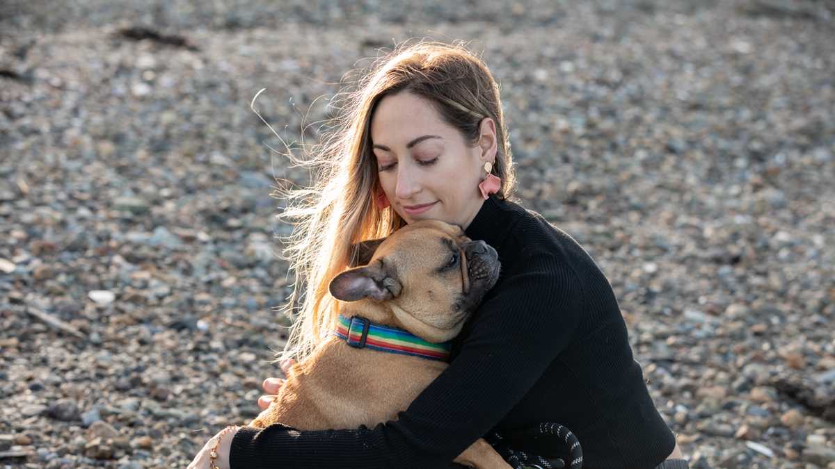Photographer spotlights pandemic's 4-legged heroes: rescue dogs