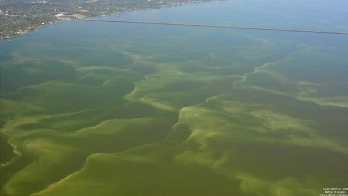 State Health Department warns about possible toxic algae bloom ...