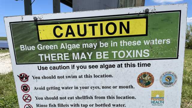 Toxic algae blooms reported in Florida - Vimarsana News