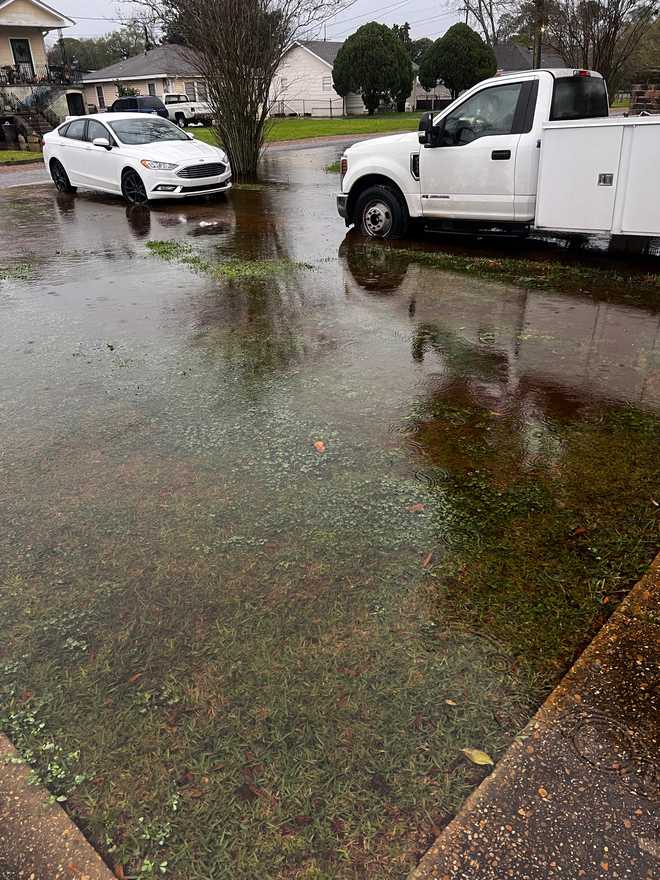 algiers&#x20;road&#x20;dealing&#x20;with&#x20;constant&#x20;flooding