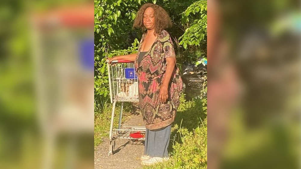 Hardeeville police searching for missing woman last seen by I-95