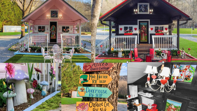 Alice In Wonderland-themed Airbnb stay in North Carolina - Vimarsana News