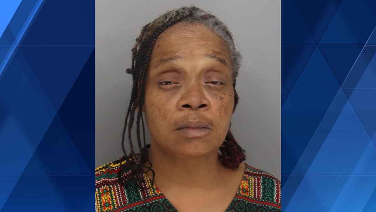 Woman arrested after leading police on high-speed chase on I-275