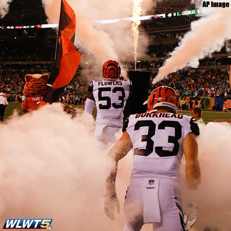 what color jerseys are the texans wearing today