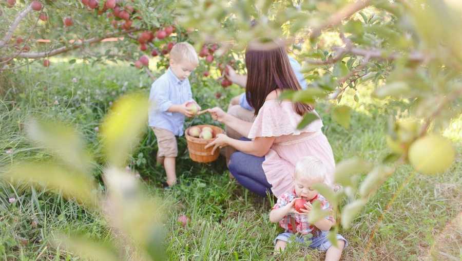 Kansas City's 5 best places to pick apples