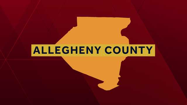 Teacher assaulted outside of elementary school in Homestead - Vimarsana News