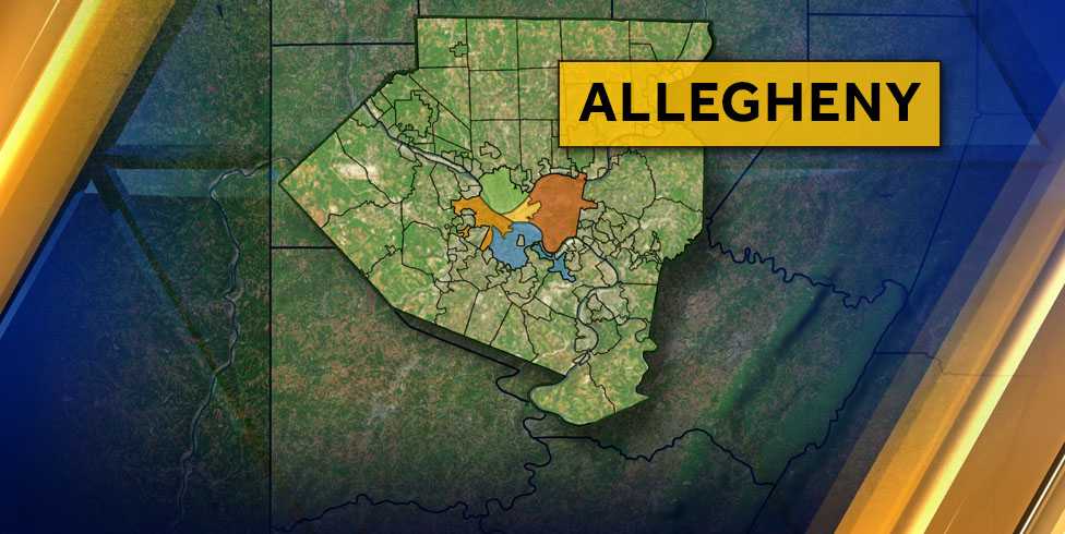 ALLEGHENY COUNTY: 2019 Election Results